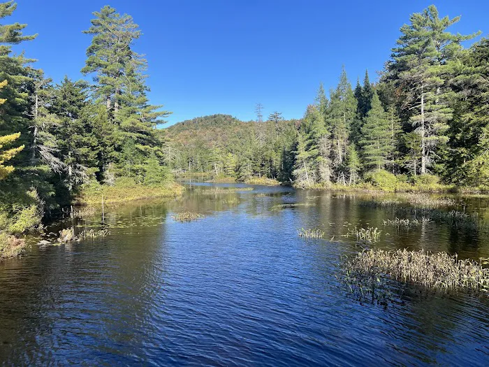 Nicks Lake Campground Picture 5