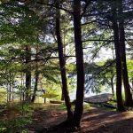 Nicks Lake Campground