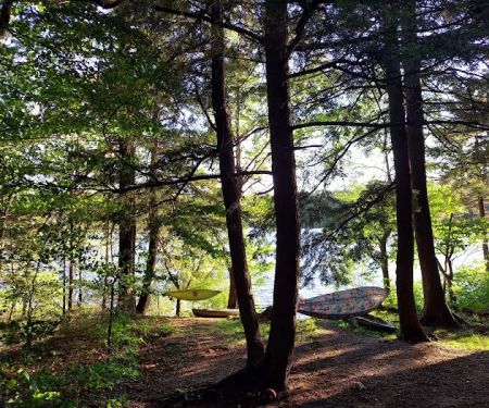 Nicks Lake Campground
