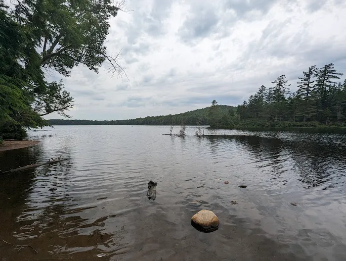 Nicks Lake Campground Picture 6