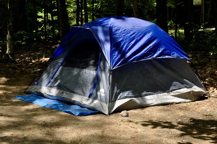 Old Forge Camping Resort Picture 5