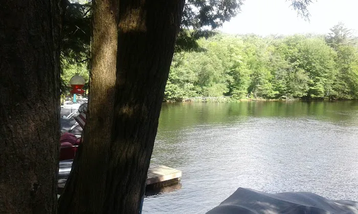 Bald Mountain Colony Picture 1