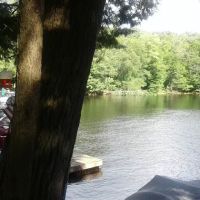 Bald Mountain Colony ico