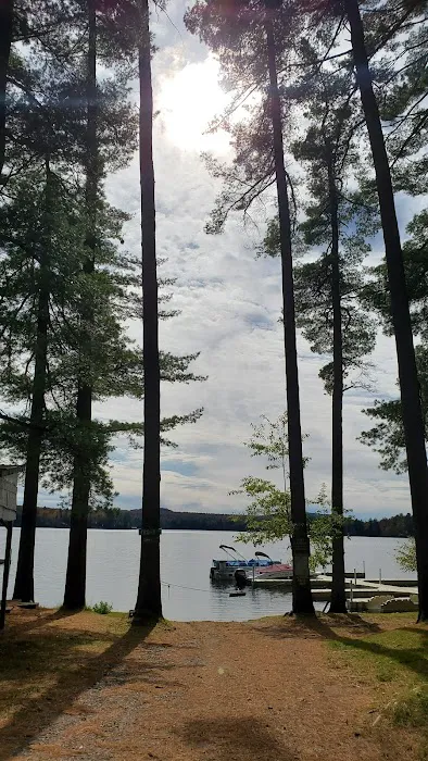 Bald Mountain Colony Picture 3