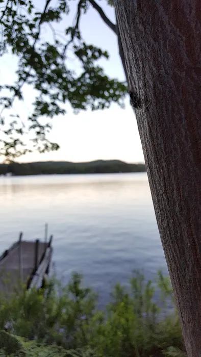 Bald Mountain Colony Picture 2