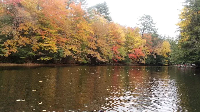 Bald Mountain Colony Picture 7