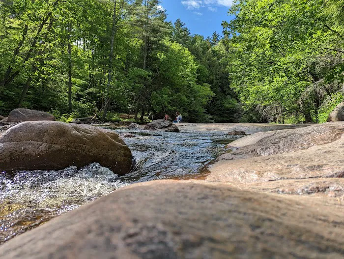 Hidden Leaf Cottage Picture 1