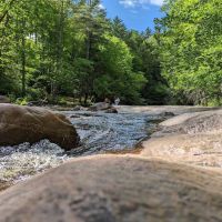 Hidden Leaf Cottage ico