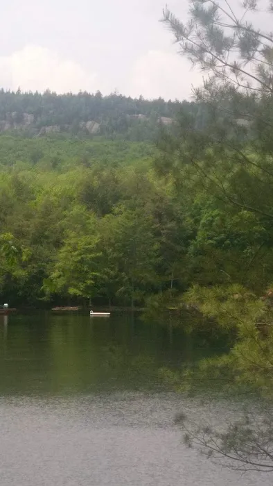 Alger Island access point Picture 7