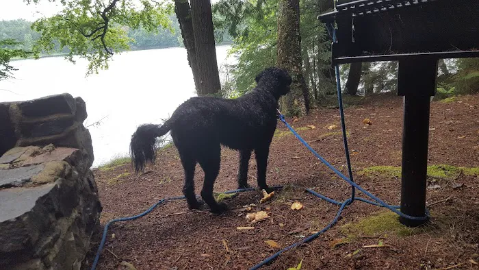 Alger Island Campground Picture 2