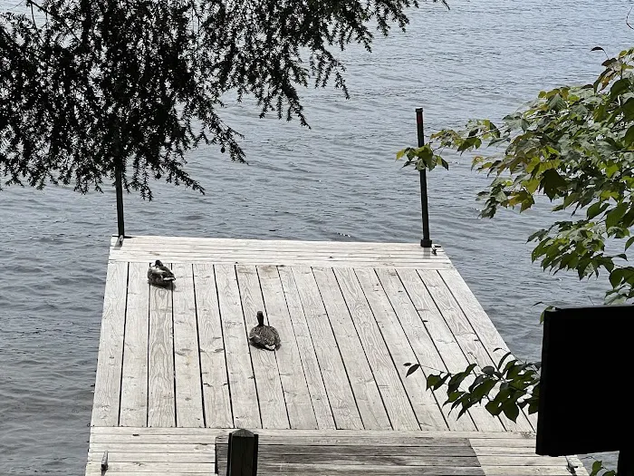 Alger Island Campground Picture 6