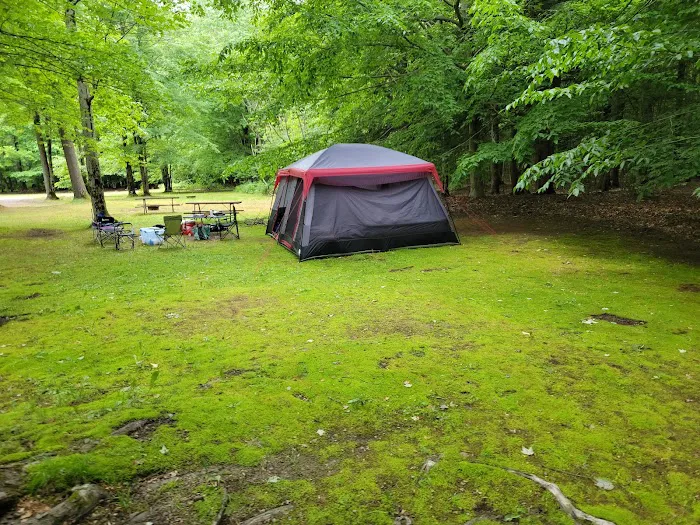 Pleasant Lake Campground Picture 6