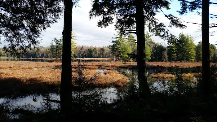 Carterville Acres Campground Picture 3