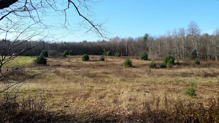 Carterville Acres Campground Picture 6