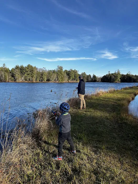 Carterville Acres Campground Picture 8