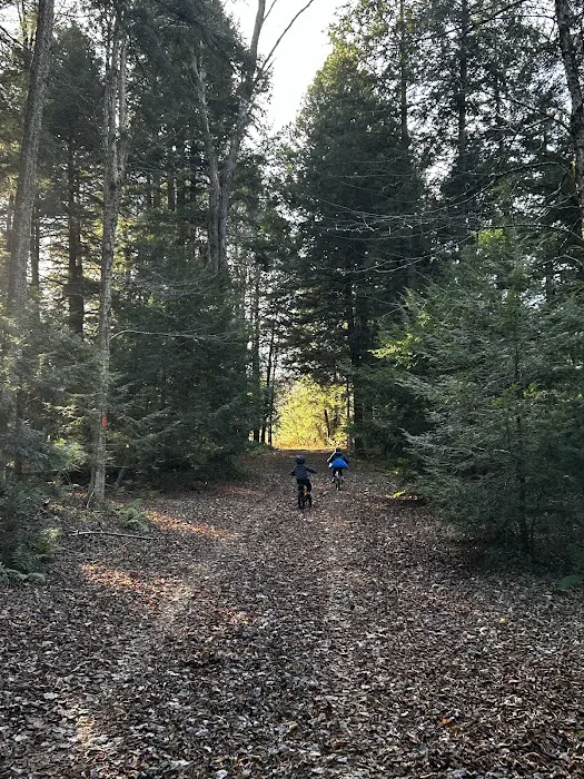 Carterville Acres Campground Picture 1