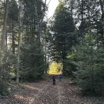 Carterville Acres Campground