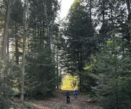 Carterville Acres Campground