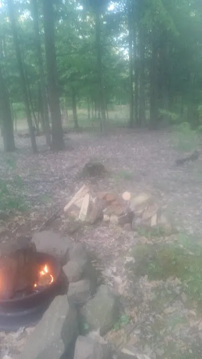 Carterville Acres Campground Picture 2