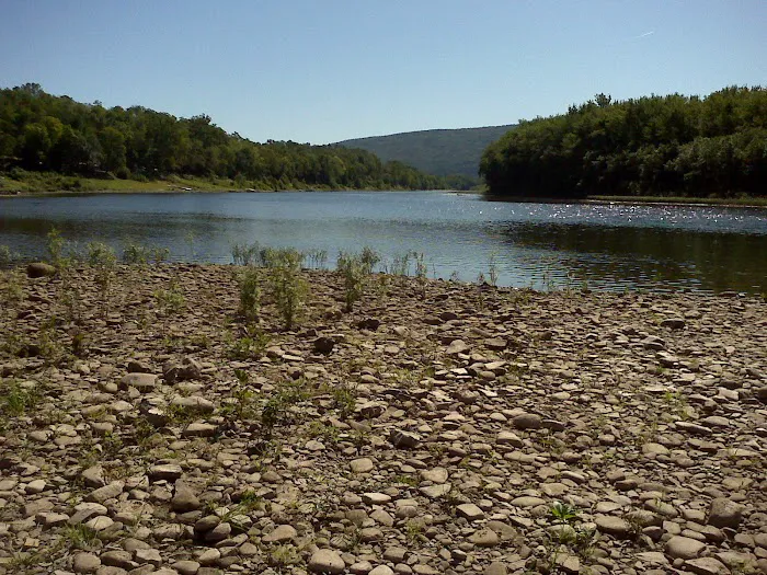 A1 Susquehanna Campground Picture 6