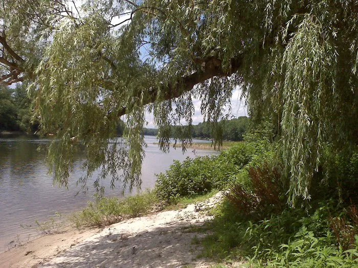 A1 Susquehanna Campground Picture 7