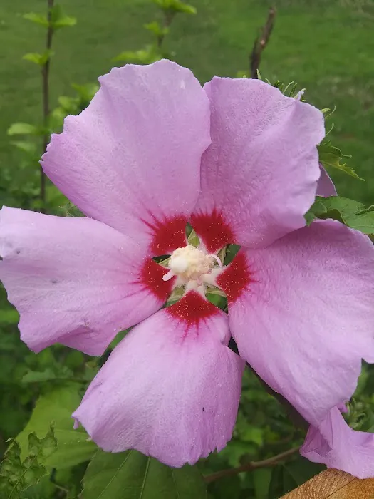 Green Valley Campground-Grocery Picture 4