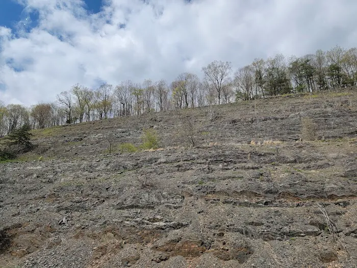 Green Valley Campground-Grocery Picture 5