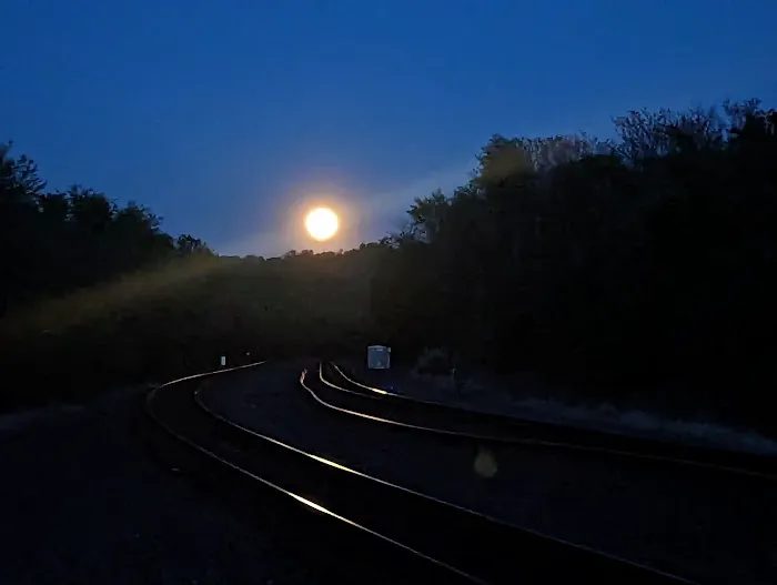 Scattered Sun Picture 1