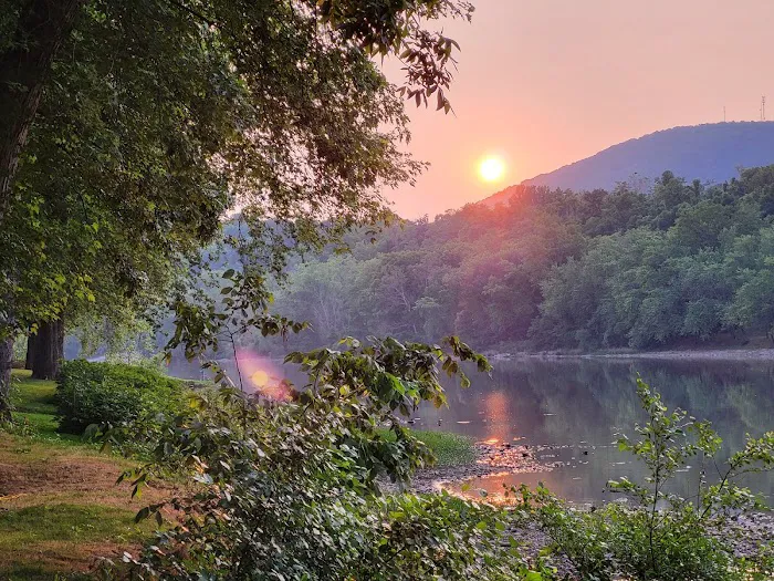 Scattered Sun Picture 2