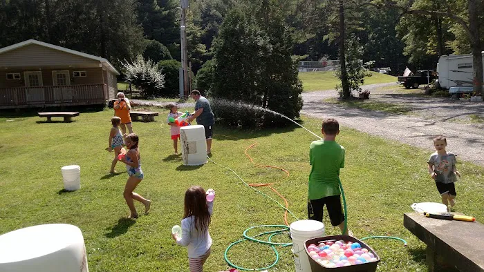 Shady Brook Campground & Boat Rental, LLC Picture 8