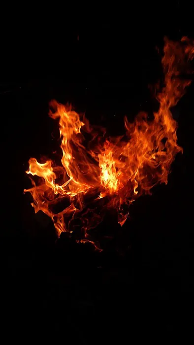 Shady Brook Campground & Boat Rental, LLC Picture 10