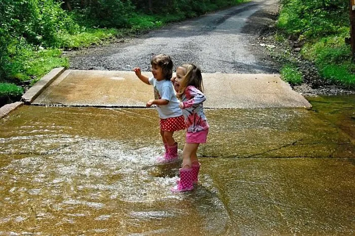 Shady Brook Campground & Boat Rental, LLC Picture 6