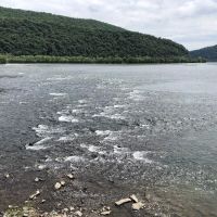 Duncannon Lions Club Campground ico