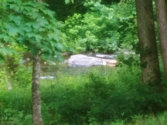 Perry County Recreation Association Picture 2