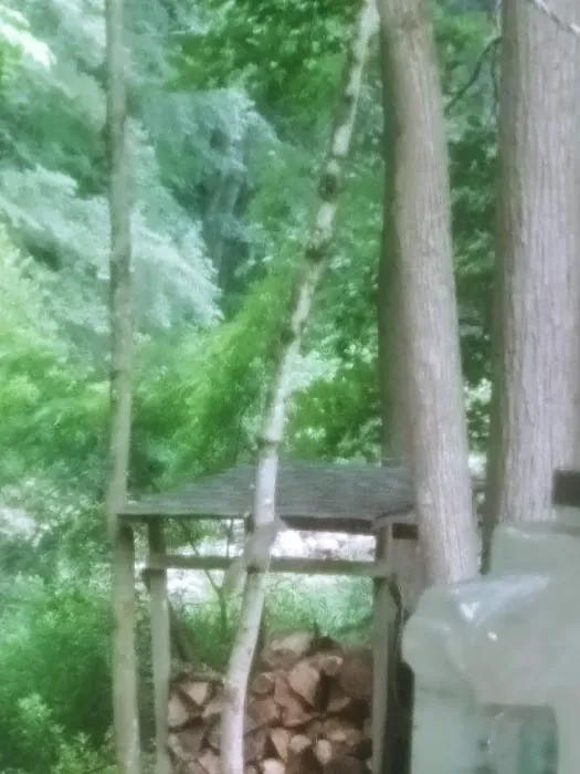 Perry County Recreation Association Picture 4