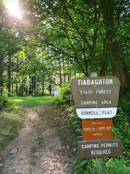 Bonnell Flats Campground Picture 8