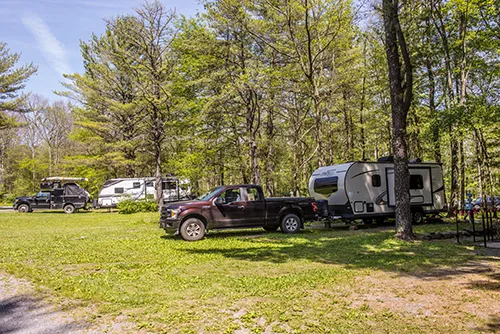 Holiday Pines Campground Picture 9