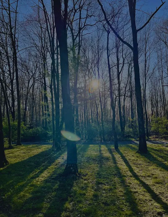 Holiday Pines Campground Picture 1