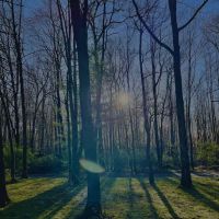 Holiday Pines Campground ico