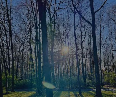 Holiday Pines Campground