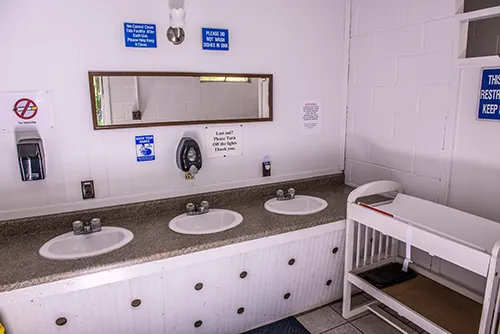 Holiday Pines Campground Picture 2