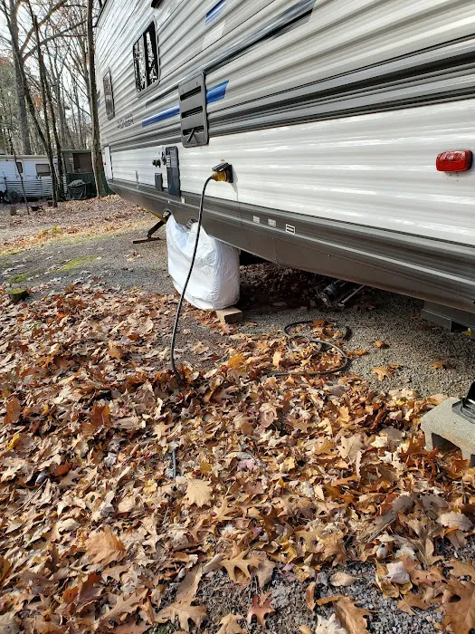 Gray Squirrel Campground Picture 7