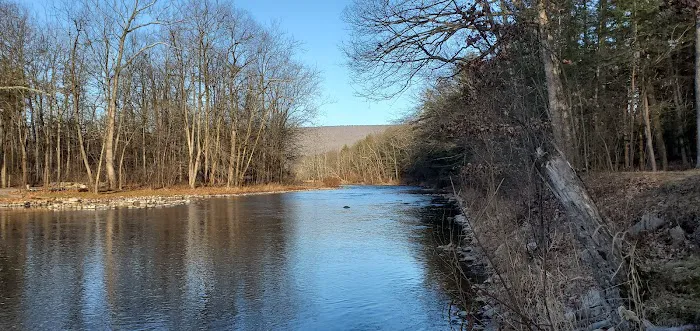 Sunsational Family Campground Picture 3