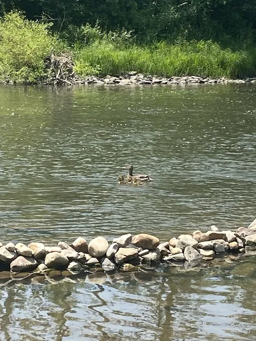 Penn's Creek Campground Picture 8