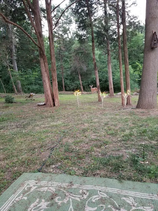 King's Campground Picture 8