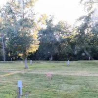 Walmar Manor Campground ico