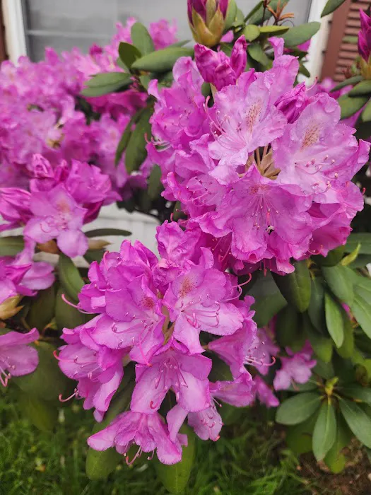 Walmar Manor Campground Picture 4