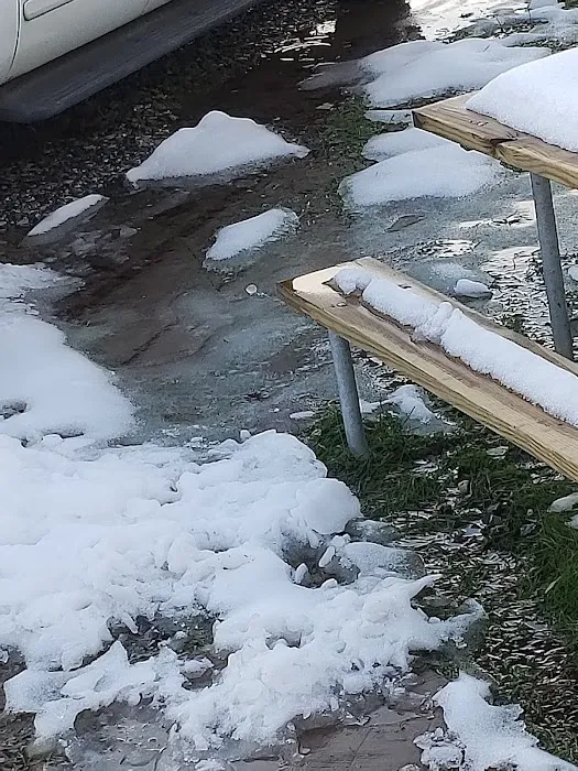 Walmar Manor Campground Picture 7