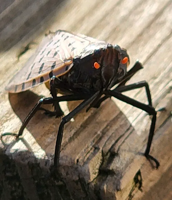 Walmar Manor Campground Picture 6