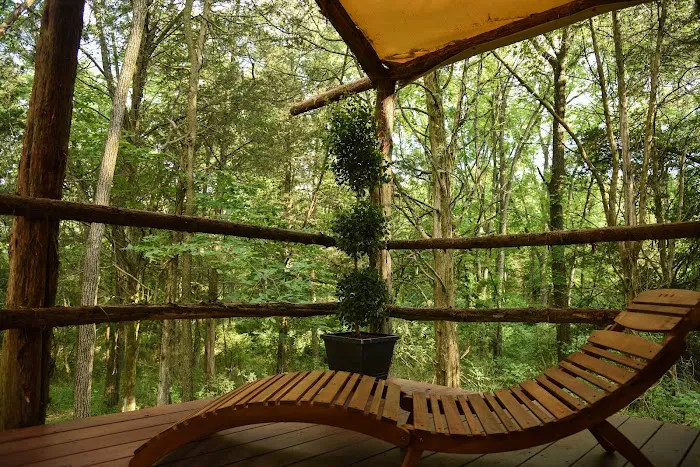 BigMount Glamping Picture 7